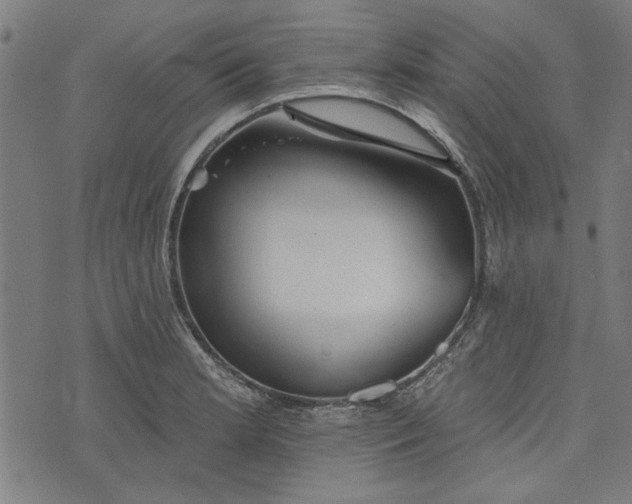 X0000073991181200609111525