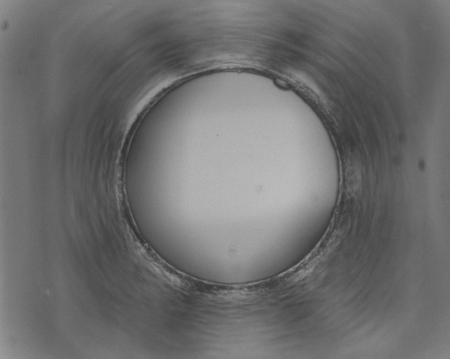 X0000073991182200609111525