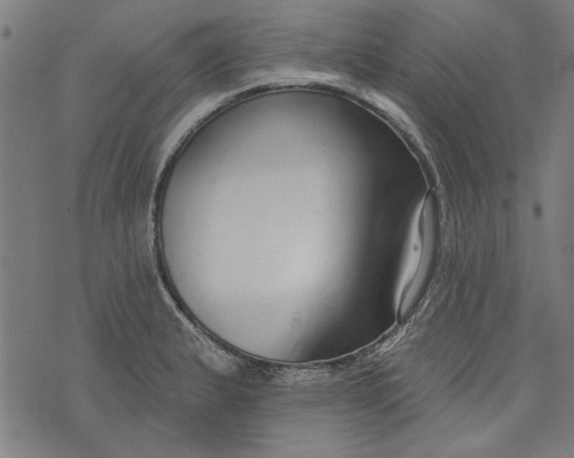 X0000073991183200609111525