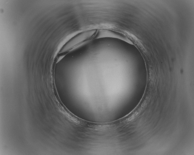 X0000073991184200609111525