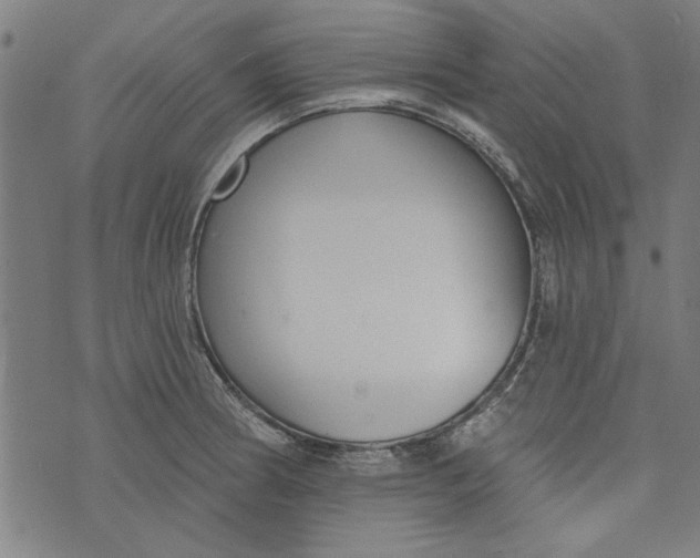 X0000073991186200609111525