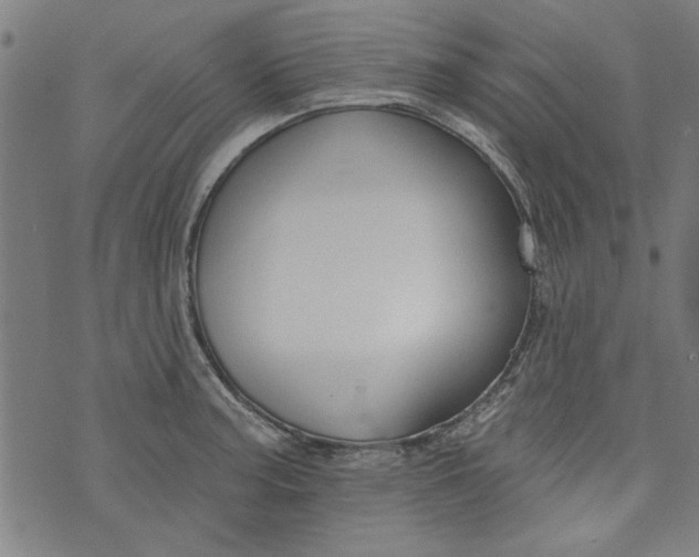 X0000073991187200609111525