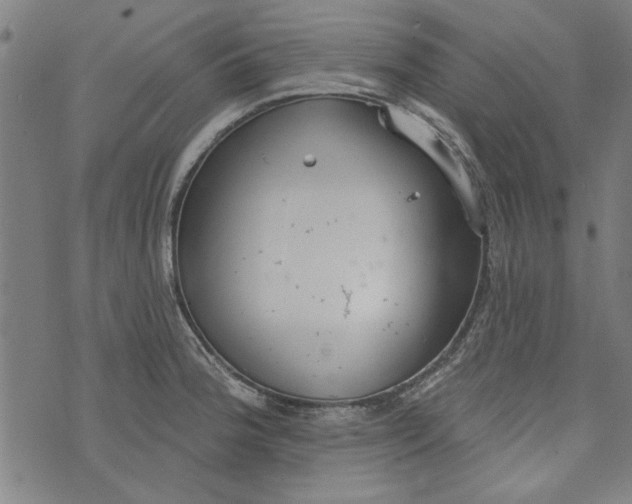 X0000073991188200609111525