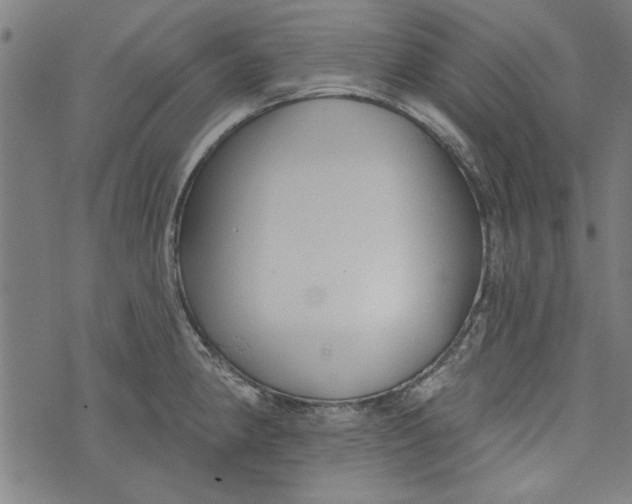 X0000073991190200609111525