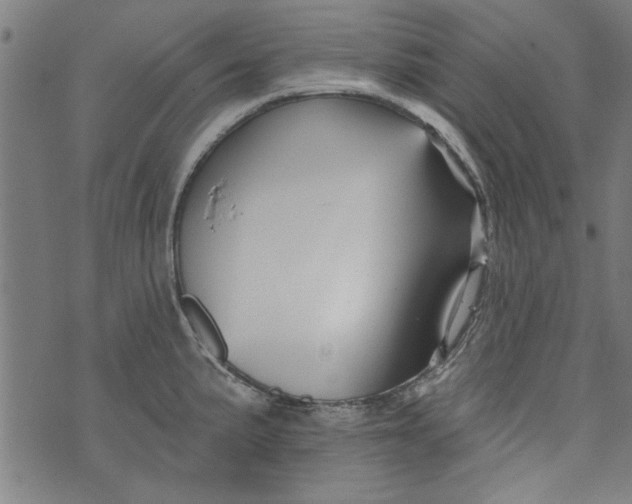 X0000073991191200609111525