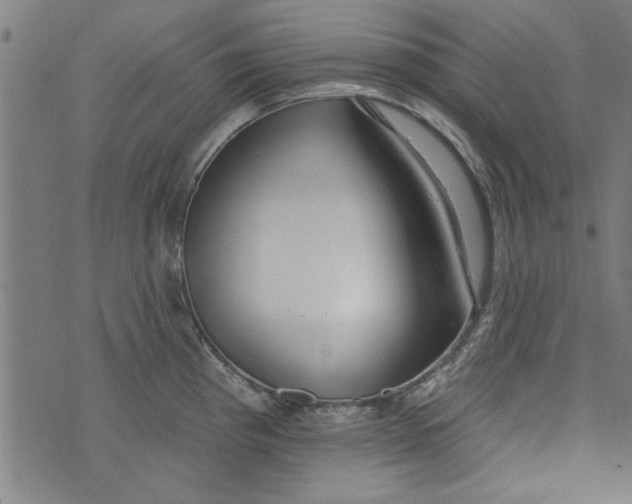 X0000073991193200609111525