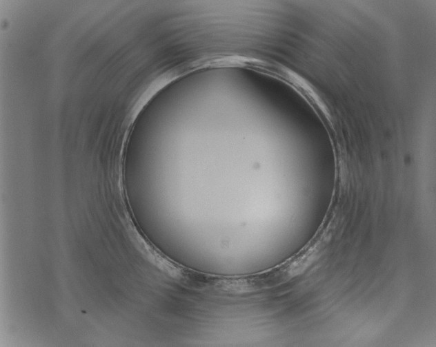 X0000073991194200609111525