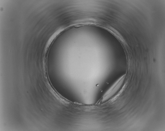 X0000073991196200609111525