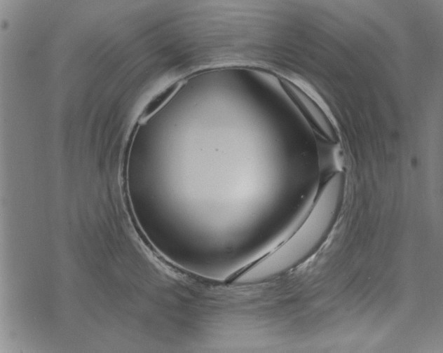 X0000073991197200609111525