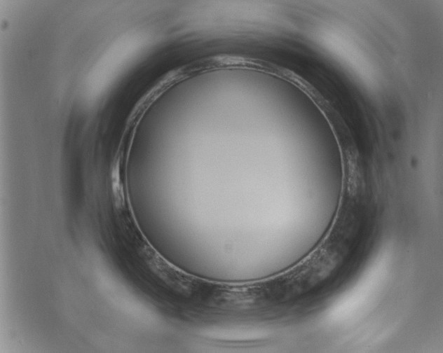 X0000073991198200609111525