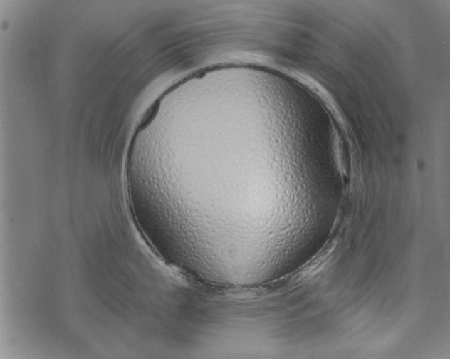 X0000073991199200609111525