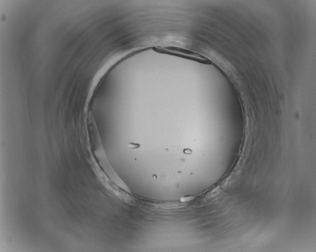 X0000073991200200609111525