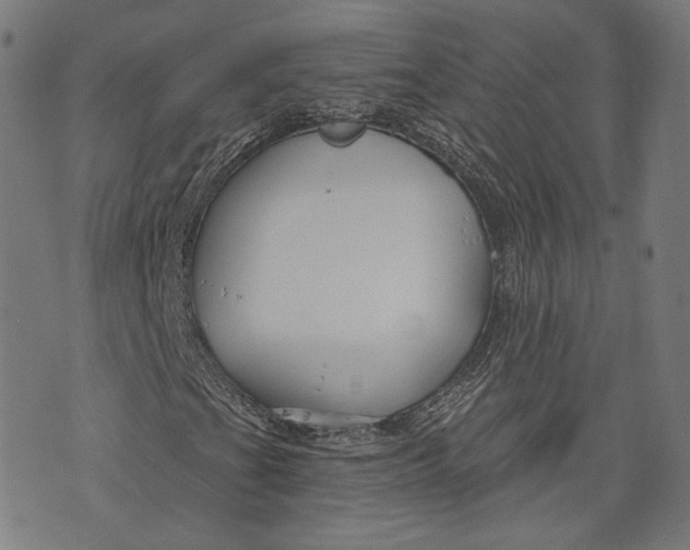 X0000073991201200609111524