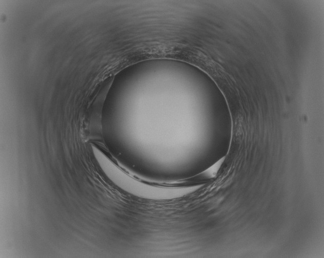 X0000073991202200609111524