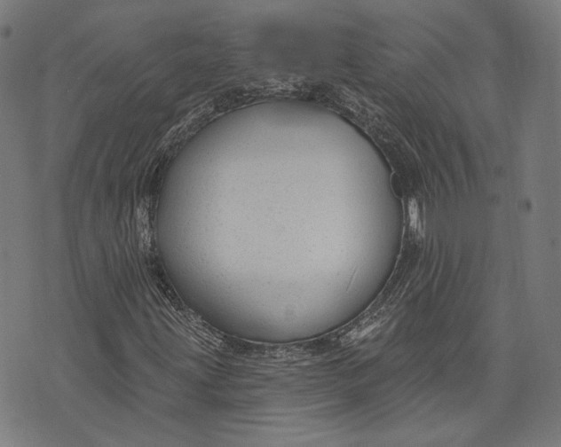 X0000073991203200609111524