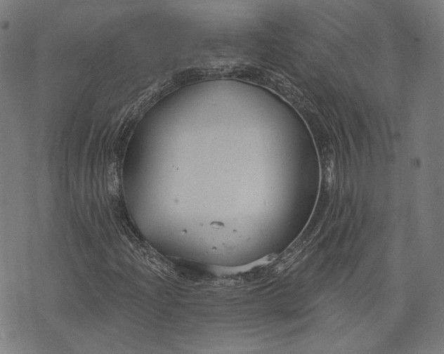 X0000073991204200609111524