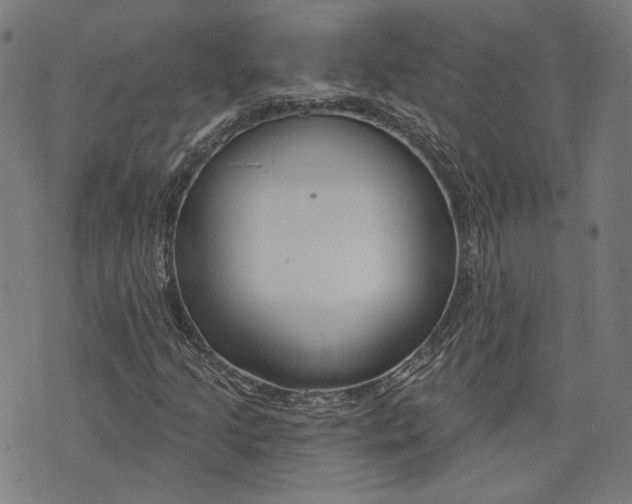 X0000073991205200609111524