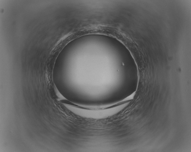 X0000073991206200609111524