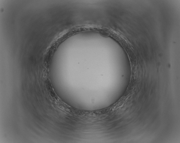 X0000073991207200609111524