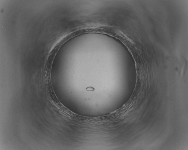 X0000073991208200609111524