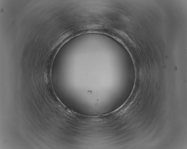 X0000073991209200609111524