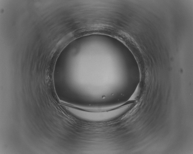 X0000073991210200609111524