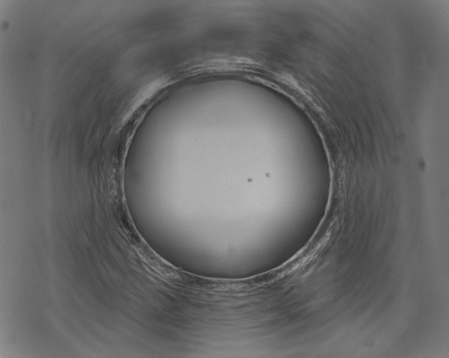 X0000073991211200609111524