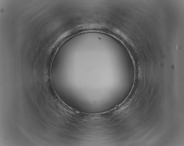 X0000073991213200609111524