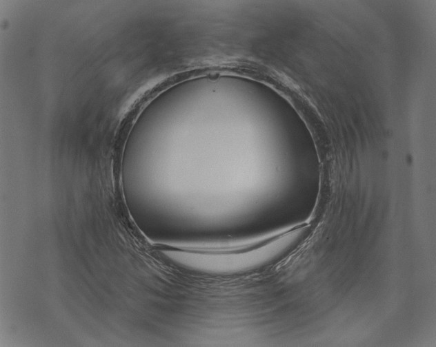 X0000073991214200609111524