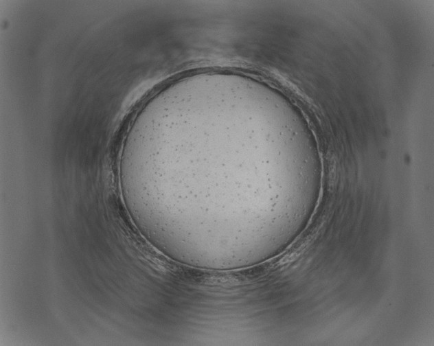 X0000073991215200609111524