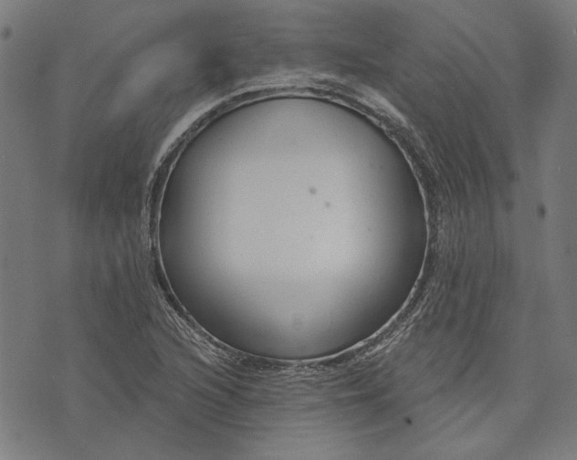 X0000073991216200609111524