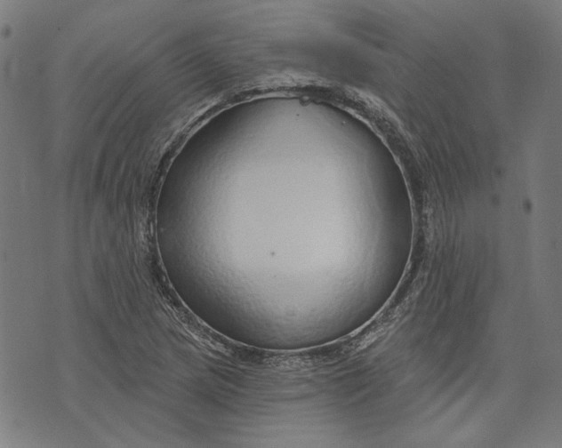 X0000073991217200609111524