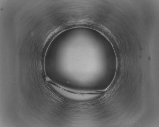 X0000073991218200609111525