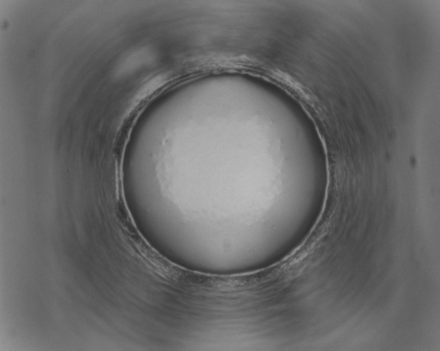 X0000073991219200609111525