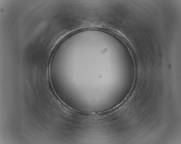 X0000073991220200609111525