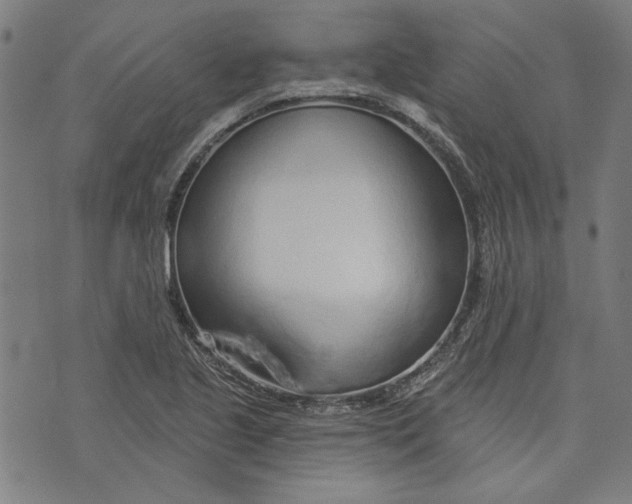 X0000073991221200609111525