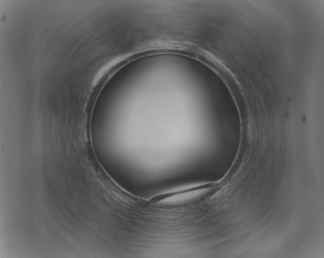 X0000073991222200609111525