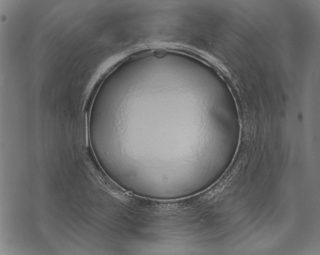 X0000073991223200609111525