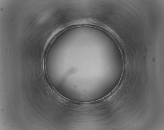 X0000073991224200609111525