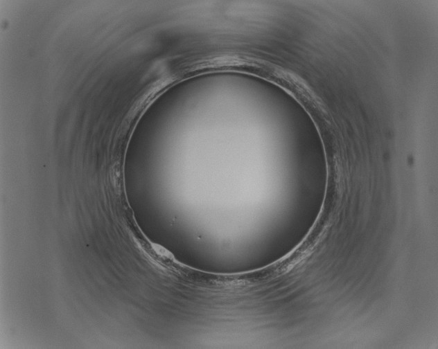 X0000073991225200609111525