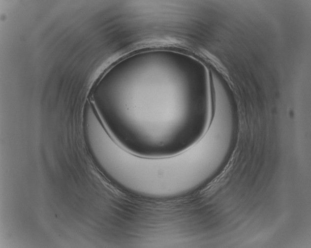 X0000073991226200609111525