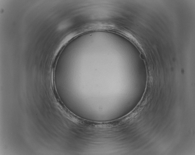 X0000073991227200609111525