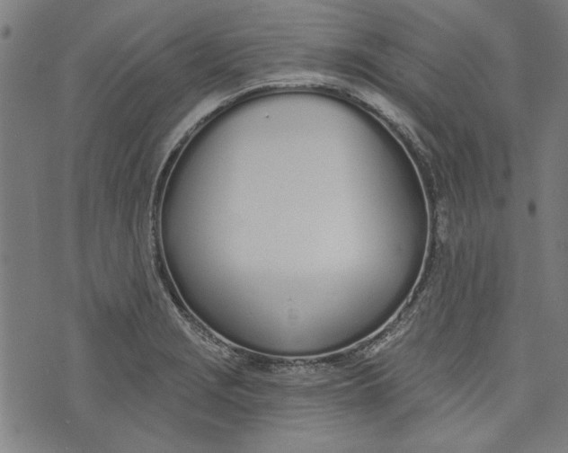 X0000073991229200609111525