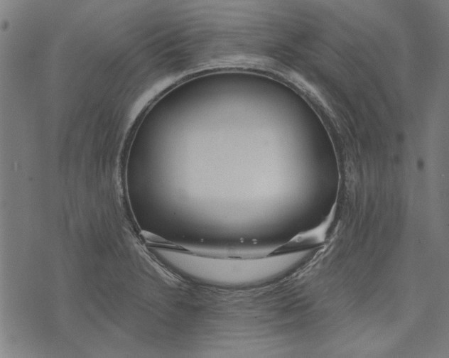 X0000073991230200609111525