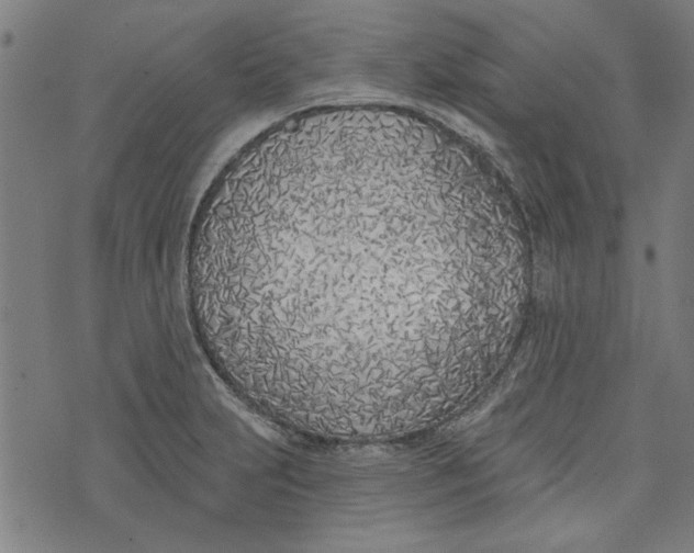 X0000073991231200609111525