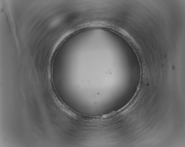 X0000073991232200609111525