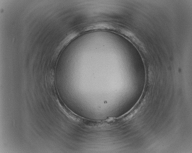 X0000073991233200609111525