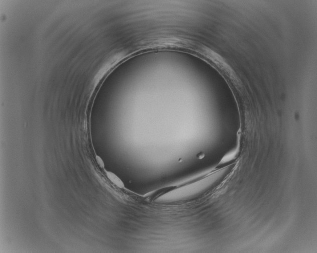 X0000073991234200609111525