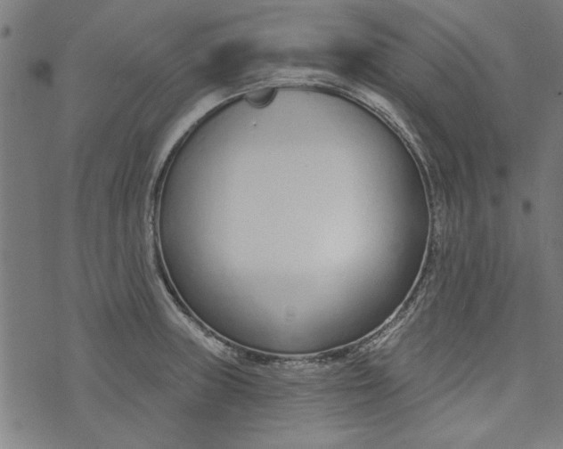 X0000073991235200609111525