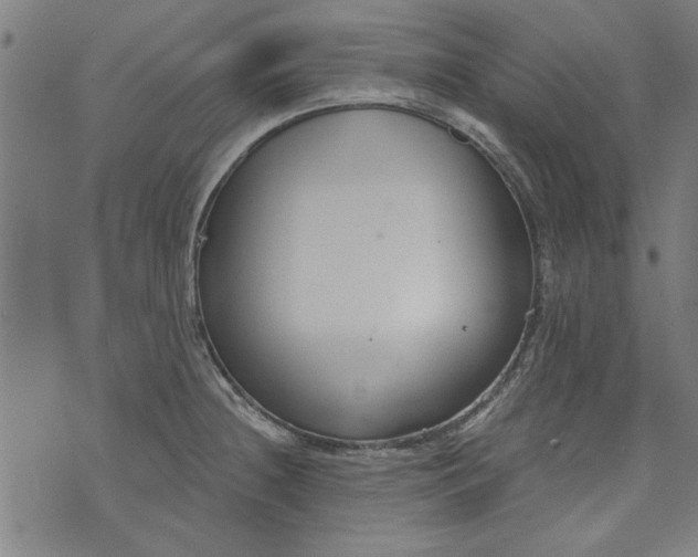 X0000073991236200609111525